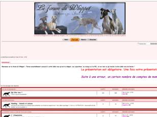 Le forum du whippet - Pour les passionés du whippet