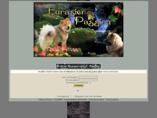 Eurasiers passions