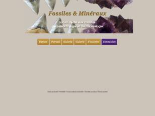 fossiles et mineraux