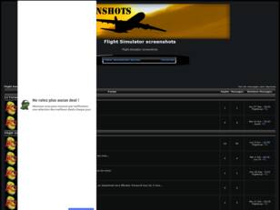 Forum gratuit : Flight Simulator screenshots