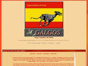 Galgos Españoles del Mundo