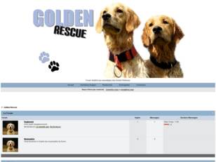 Golden-Rescue : Le forum desriné aux sauvetages des Golden Retriever.