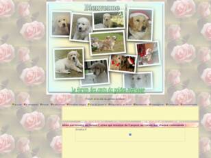 Le golden retriever : Le forum et le site du golden retriever.