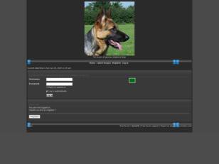 Free forum : gsd lovers