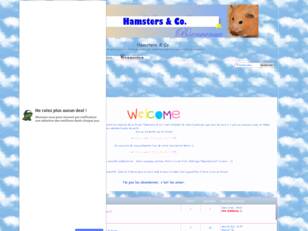 Forum sur les Hamsters & Co.