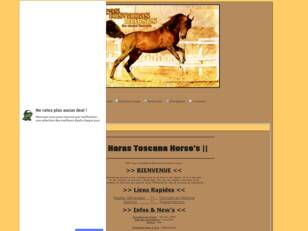 [| Haras Toscana Horse's |]