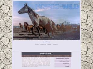 Horse-Wild.