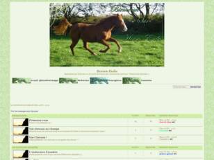 creer un forum : Horses-Endu