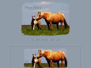 Horse Valley's