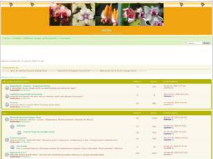 Forum gratuit : HOYA Un forum dedicat pasionatilor