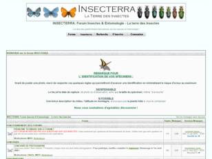 INSECTERRA : FORUM sur les INSECTES & ENTOMOLOGIE