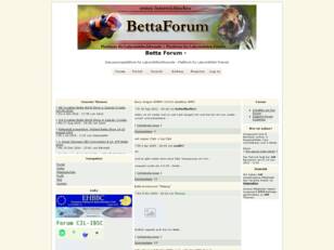 Betta Forum