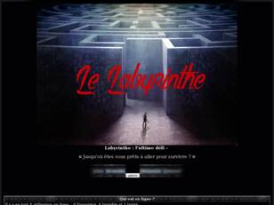 Labyrinthe : l'ultime defi