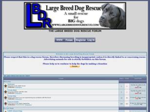 Large Breed Dog Rescue