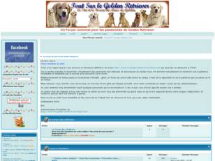 Le Forum  de tout sur le Golden Retriever.fr