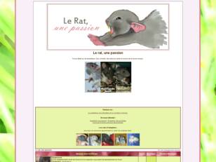 Le rat, une passion