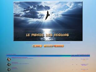 Le monde des requins