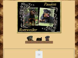 Passion rottweiler