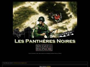 Les Panthères Noires