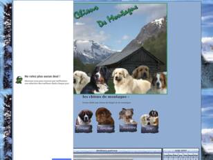 les chiens de montagne