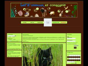 Animaux de compagnie