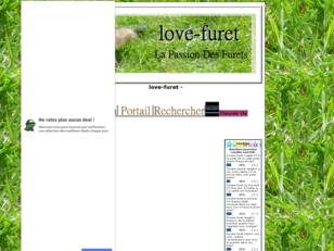 love-furet