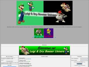 Luigi & Dry Bowser Univers