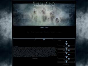 La Guerre des Clans : Magic Cats