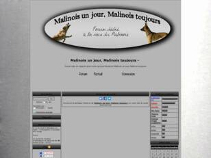 Forumactif.com : Malinois un jour, Malinois toujours