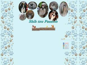 Shih tzu passion