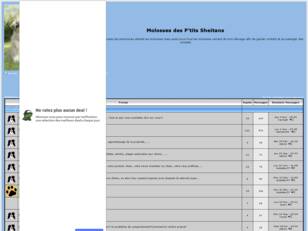 Forum gratuit : creer un forum : Molosses des P'ti
