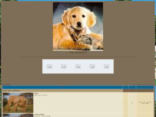 creer un forum : my animal's