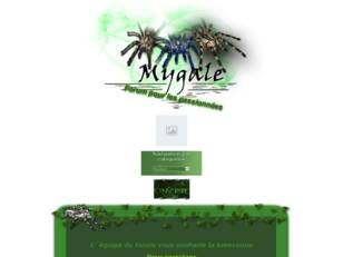 mygale