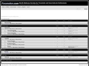 forumotion : North Alabama Tarantula Society