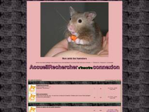 Nos amis les hamsters