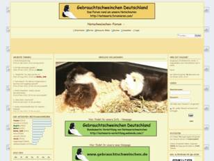Notschweinchen-Forum