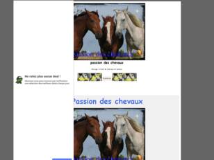 passion des chevaux