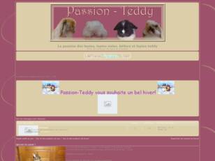 Teddy-lapinoux