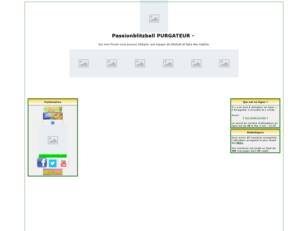 Passion blitzball PURGATEUR