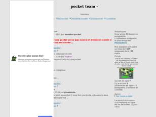 pocket team