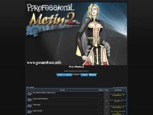 Professional-Metin2 Forum