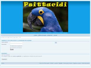 Forum gratis : Agapornis e altri Psittacidi