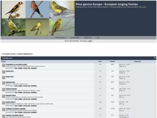 Free forum : Ptice pjevice - Singing finches