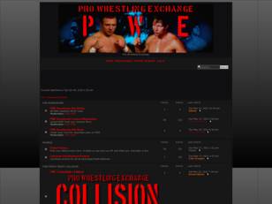 PWE: Professional Wrestling