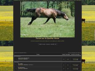 Forum sur le Quarter Horse