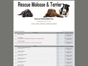 creer un forum : Rescue-Molosse&terrier