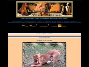 Le Forum du Rhodesian Ridgeback