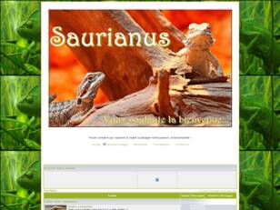 créer un forum : saurianus