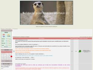 Solidarité pour les animaux en danger