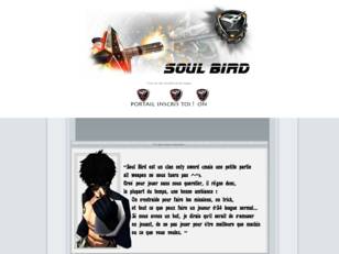 Clan Soul bird, S4league.
